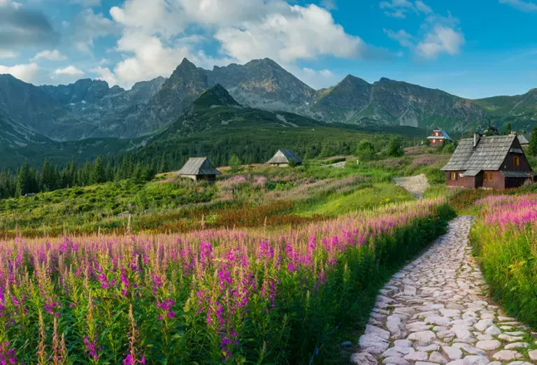 R290 Soğutucu Akışkan: Çevreci Geleceğin Enerjisi